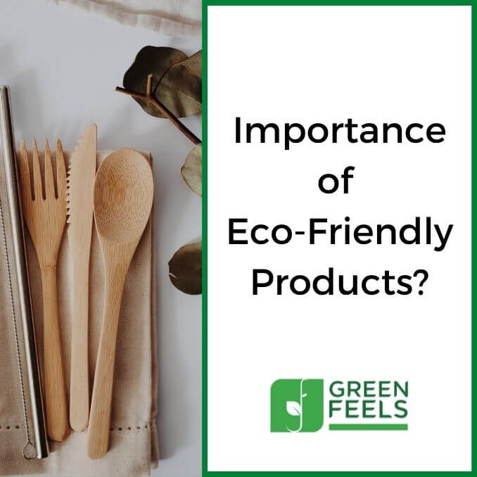 Why is It Important to Use Eco Friendly Products: A Greener Future