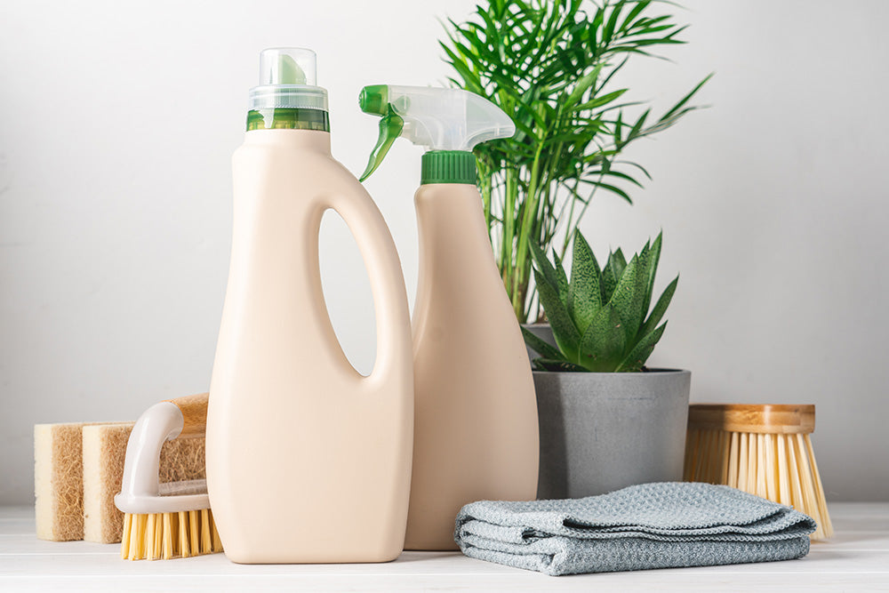 Are Eco-Friendly Homes More Expensive? Debunking Myths