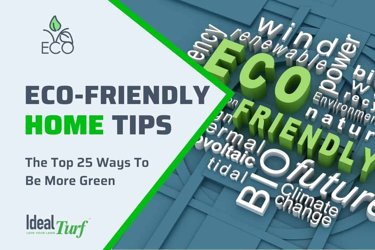How to Be Eco-Friendly at Home: Go Green Easily!